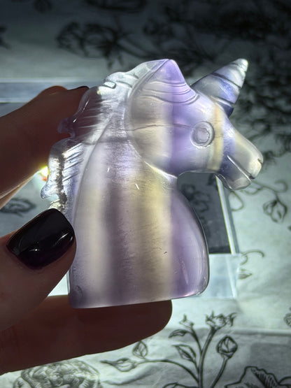Fluorite Unicorn Head Carving — 110g | 6cm