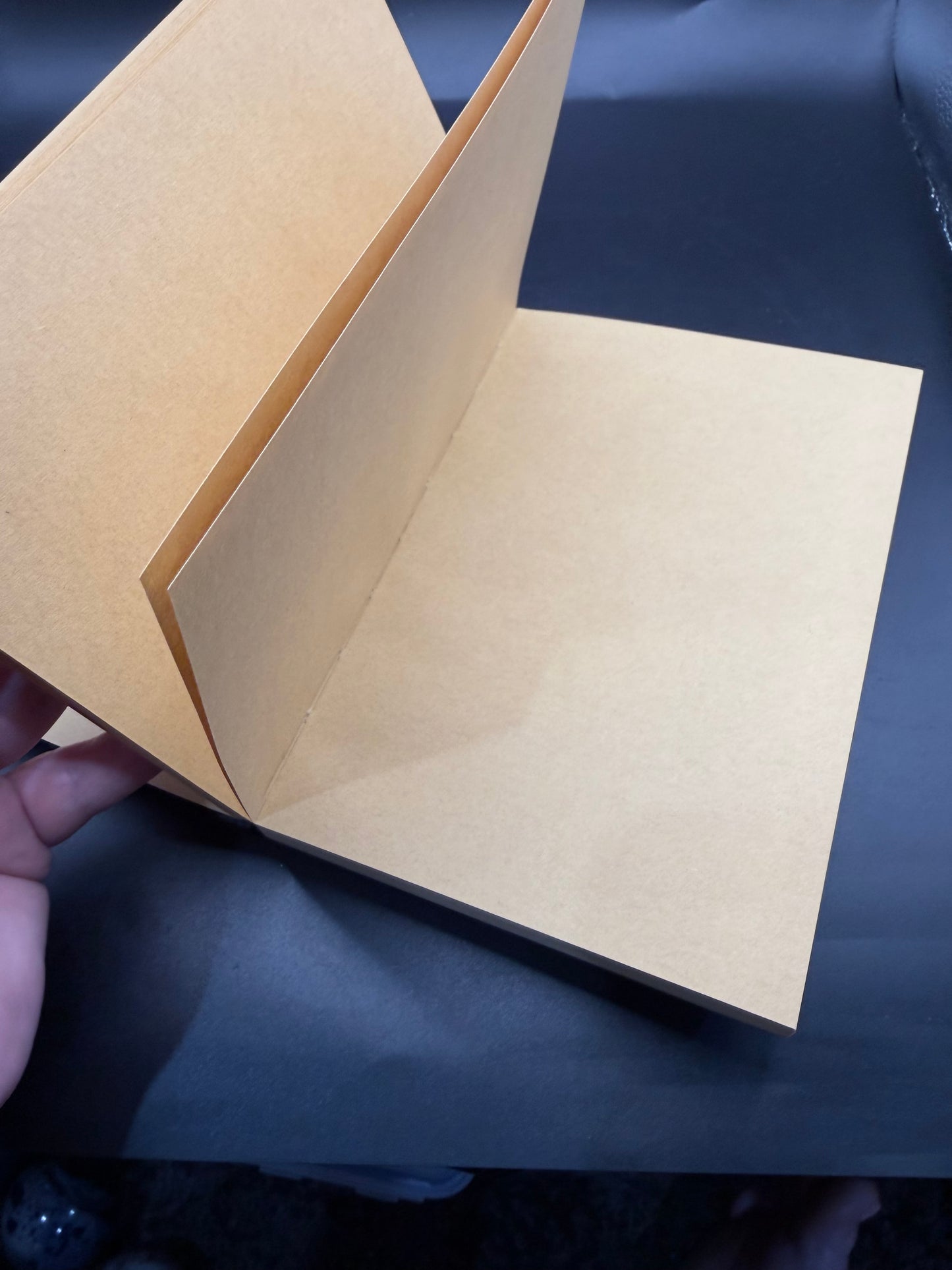 Tanokay 3D Dragon Eye Sculpture Journal