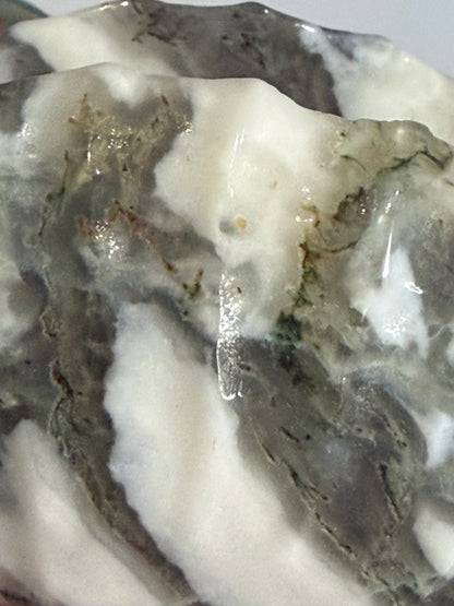 Moss Agate Clam Shell –