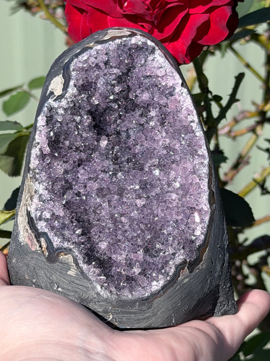 Brazilian Amethyst Druzy Cave Geode – 962g E

Calm Energy • Protection • Spiritual Clarity