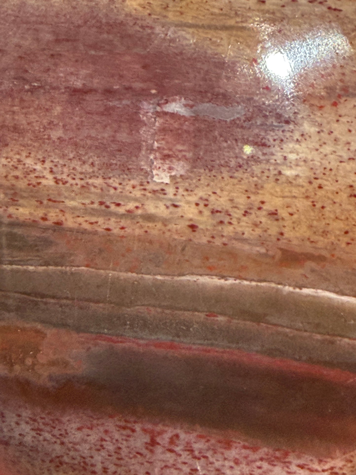 Petrified Wood Heart 🤎 C