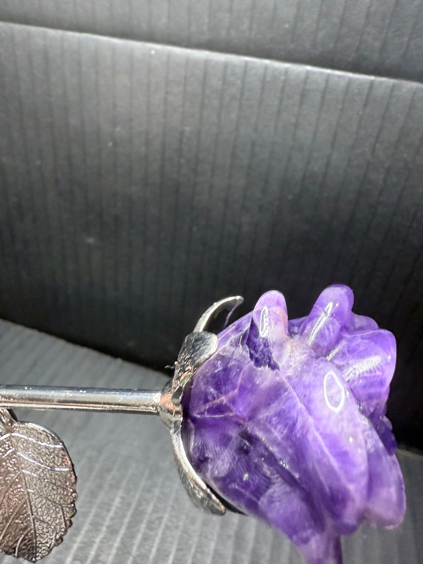 Dream Amethyst long stem Rose