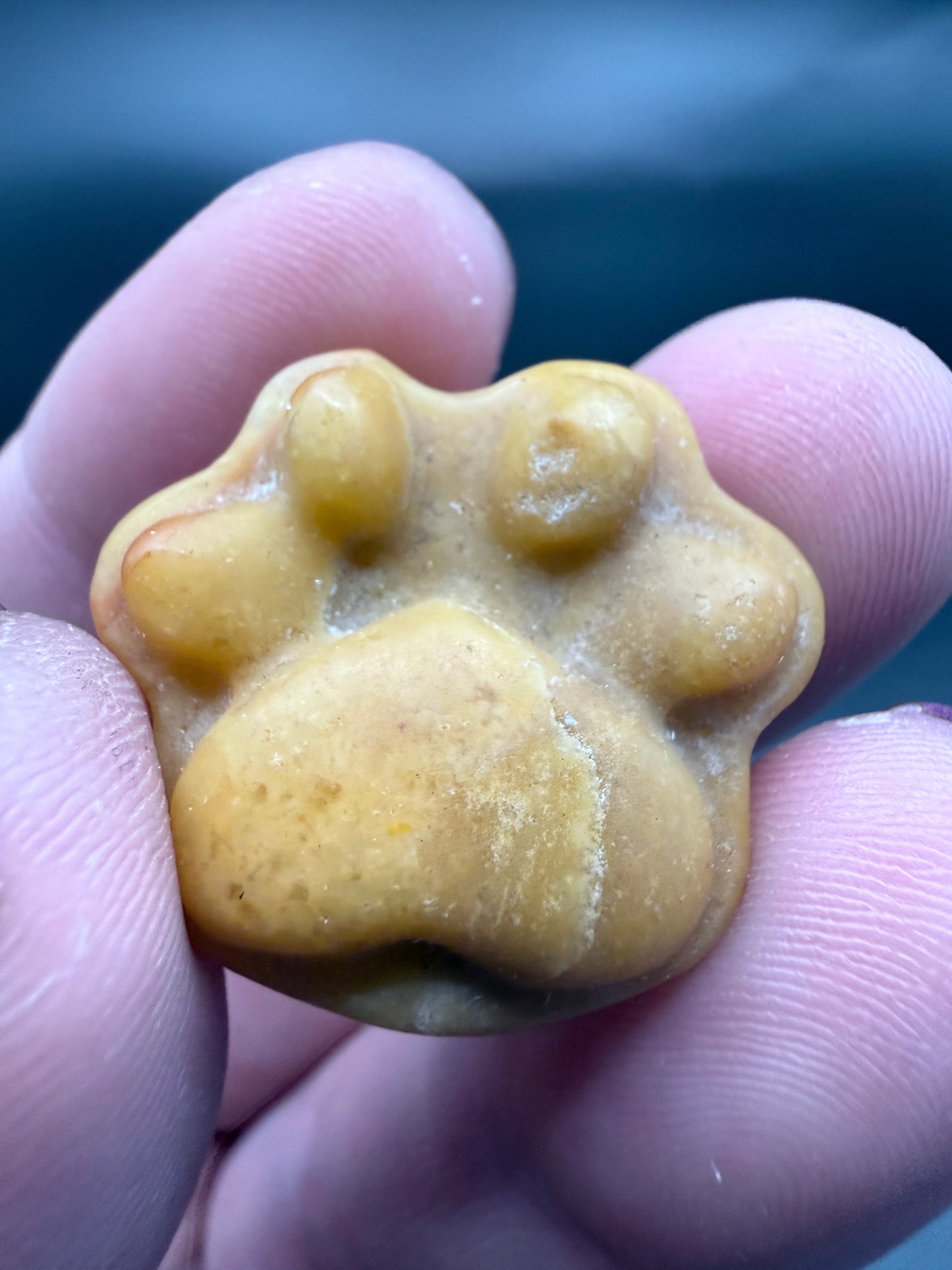 Crystal Paw Print Carvings – Loyalty, Healing & Calm