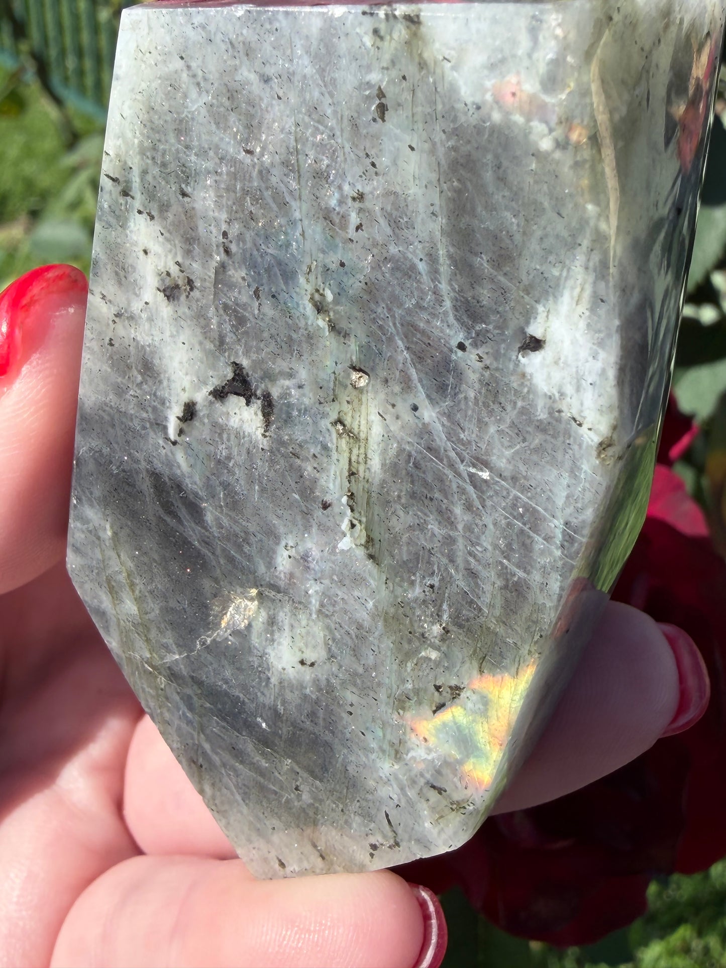 Labradorite Crystal Freeform – Rainbow Flash | 159g E