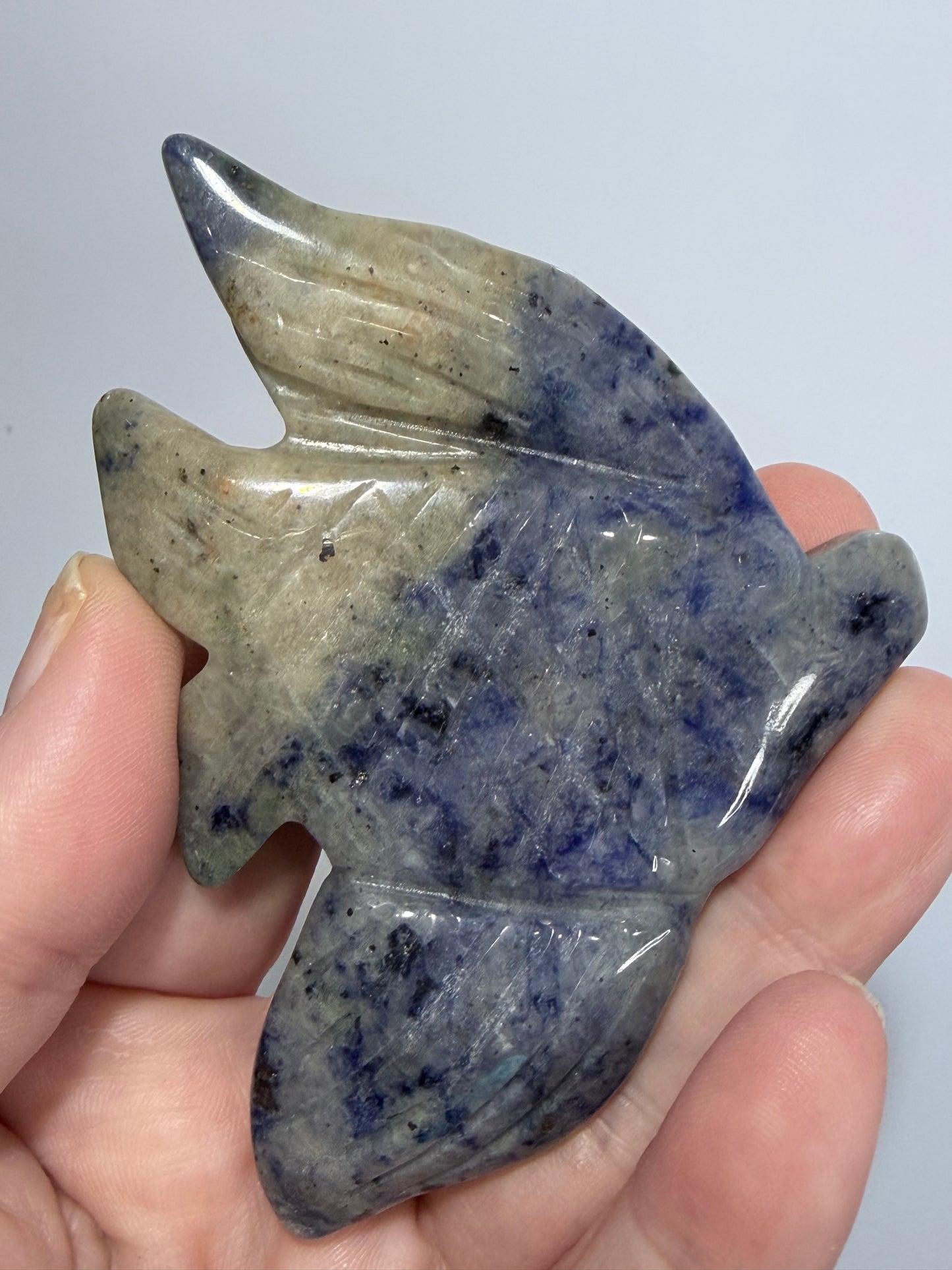 Sodalite Fish Carving with Display Stand | 70g | 9 x 6.5cm