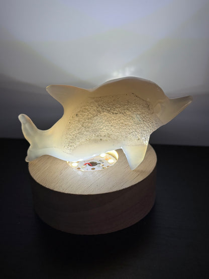 Agate Dolphin with Natural Druzy