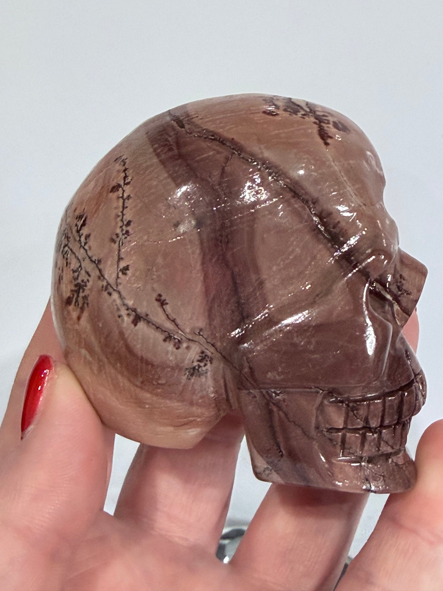 Picture Jasper Skull Carving – 300g
