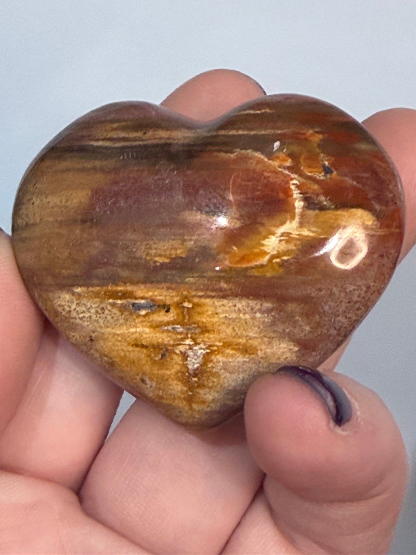 Petrified Wood Heart 🤎 C