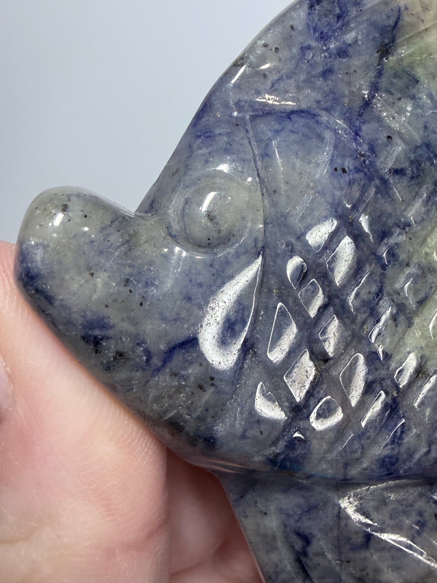 Sodalite Fish Carving with Display Stand | 70g | 9 x 6.5cm