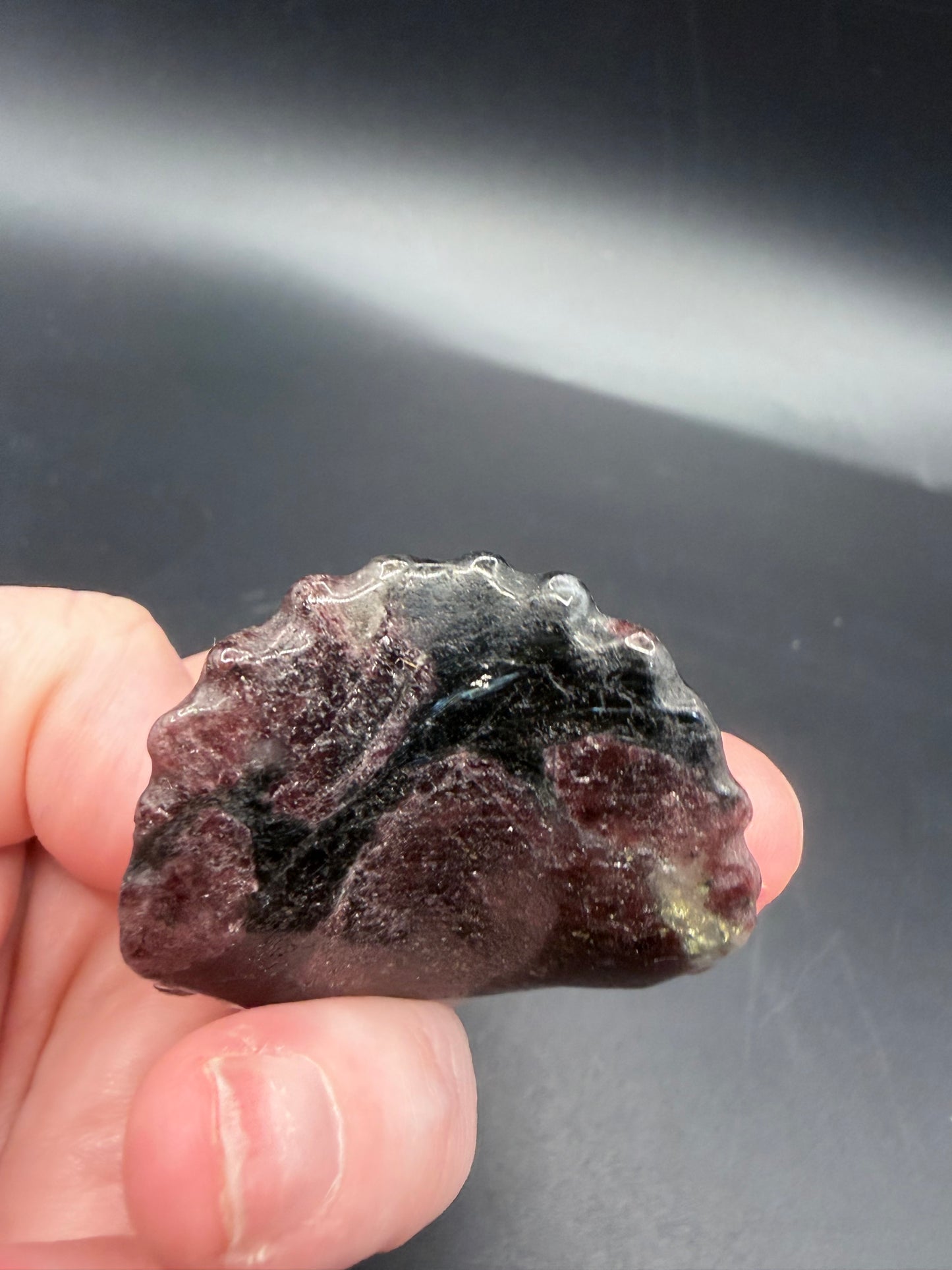 Garnet in Schist Triceratops – Crystal Carving (5cm)