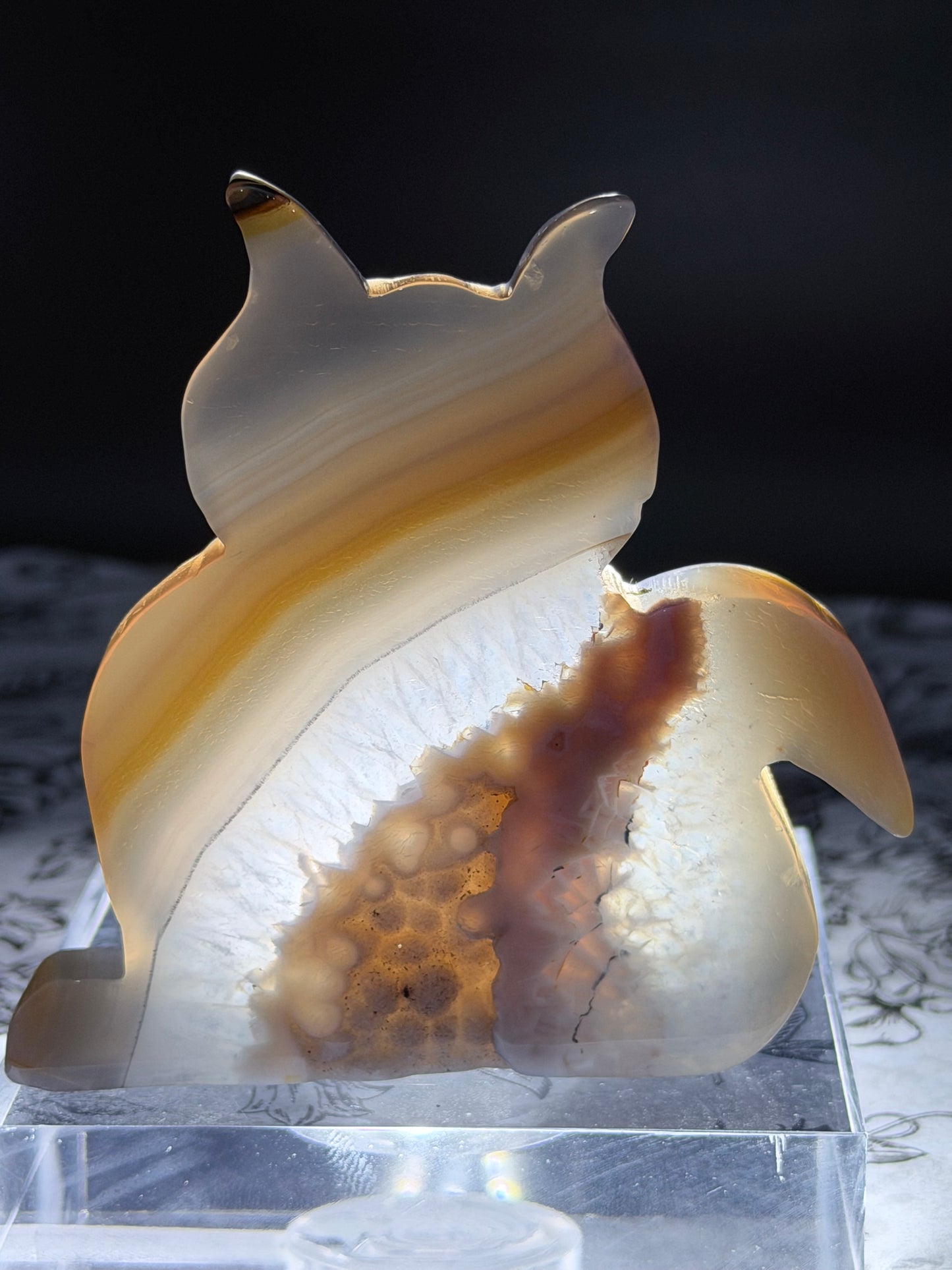 Druzy Agate Cat Geode — 156g | 9.2 x 9.1cm