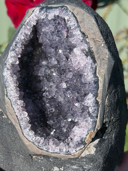 Brazilian Amethyst Druzy Cave – 984g B