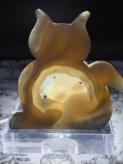 Druzy Banded Agate Cat Geode — 140g | 9.3 x 9.2cm