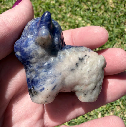 Sodalite Highland Cow 5.5x4.5cm