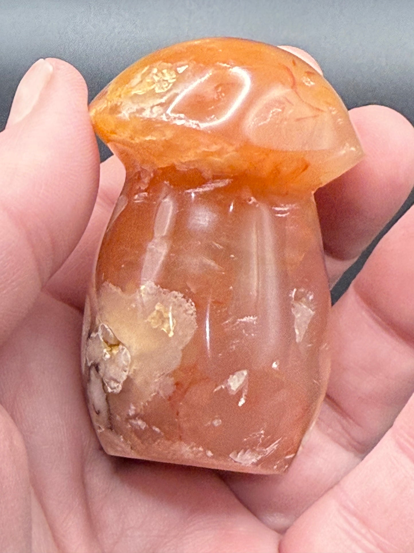Sakura Flower Agate Mushroom
