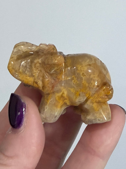 Crazy Lace Agate Elephant Carving – 5cm