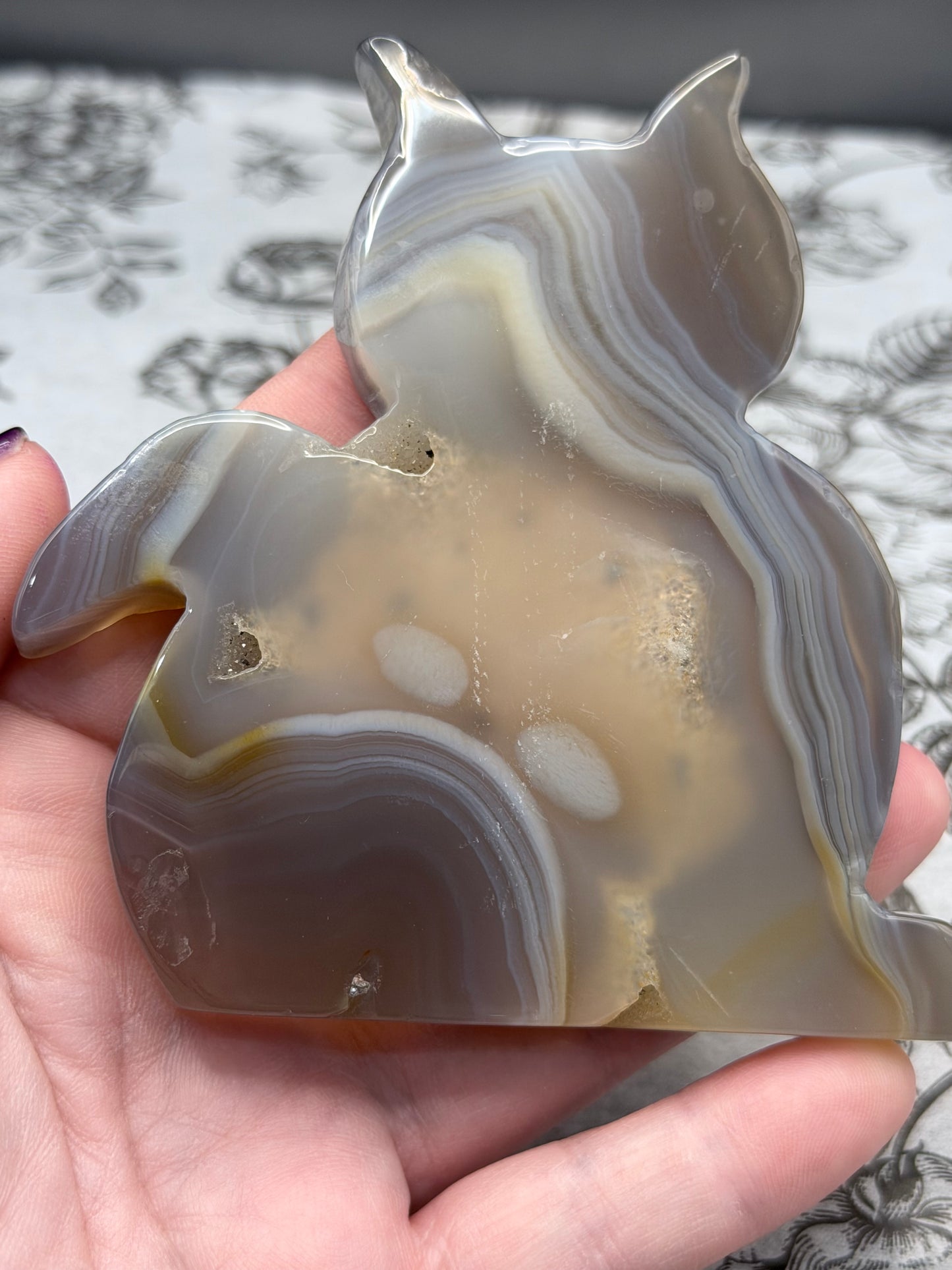 Druzy Banded Agate Cat Geode — 140g | 9.3 x 9.2cm