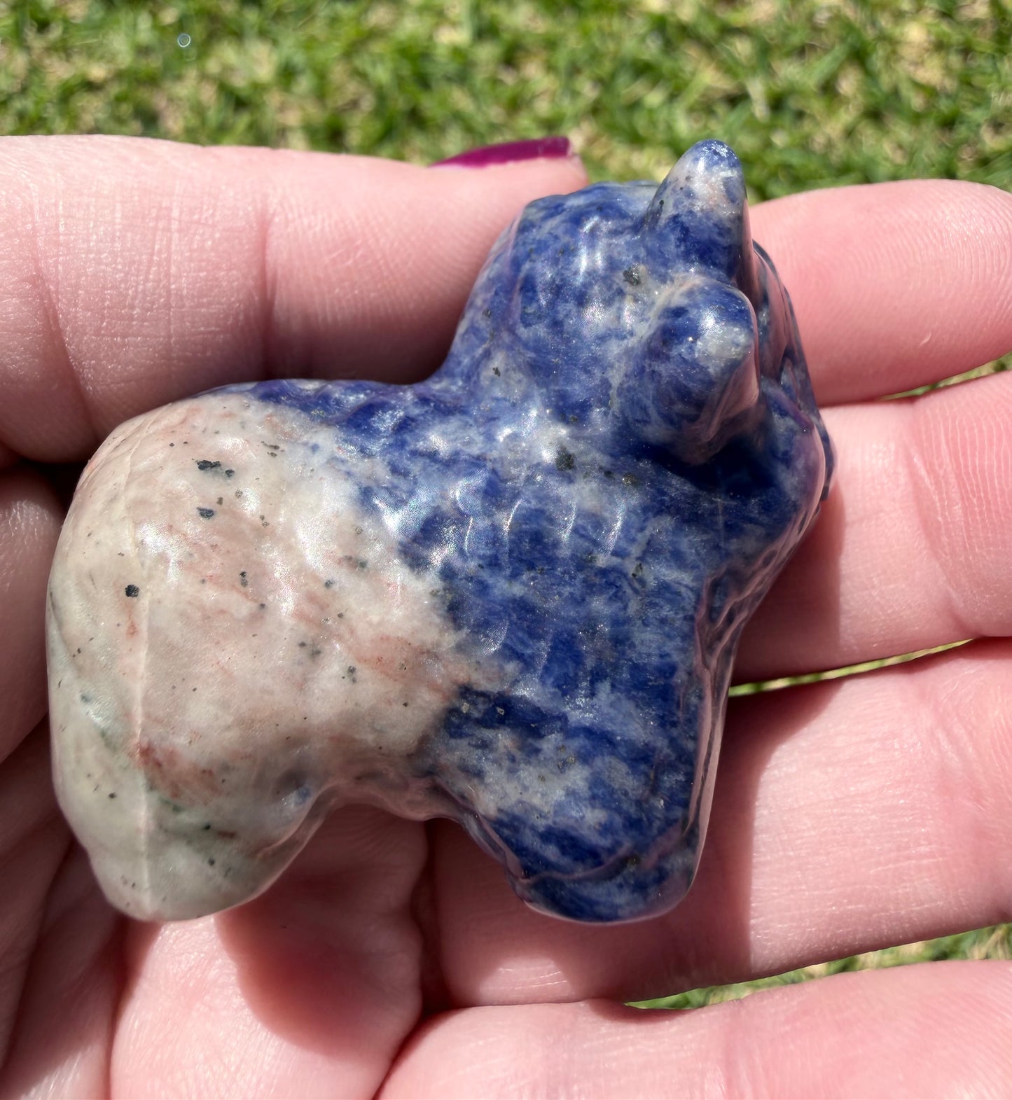 Sodalite Highland Cow 5.5x4.5cm