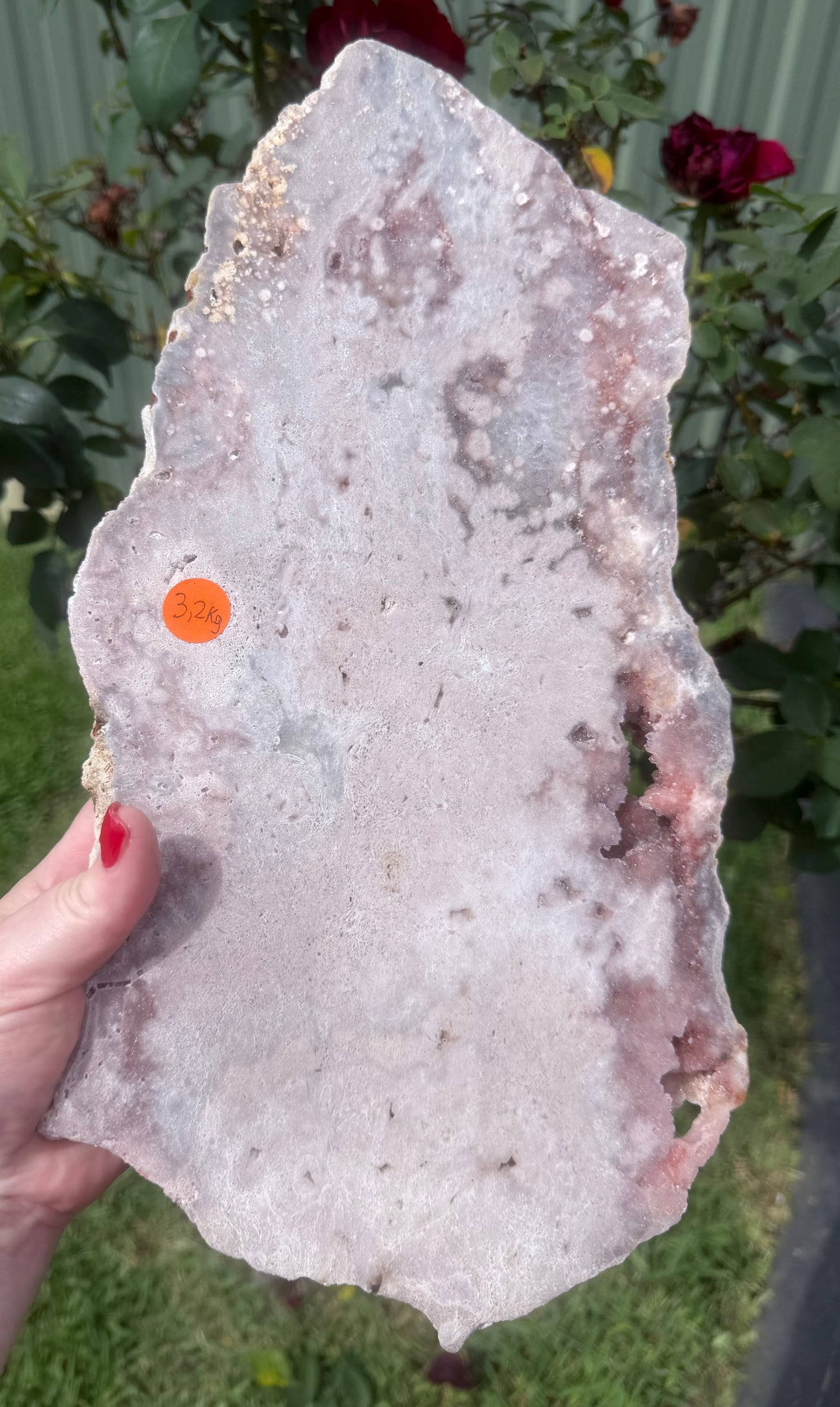 Large Botryoidal Pink Amethyst Druzy Slab on Stand – 3.2kg | 45cm Brazilian Statement Piece