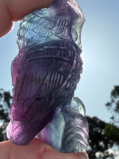 Rare Blue & Pink Rainbow Fluorite Owl Carving – 5.1cm