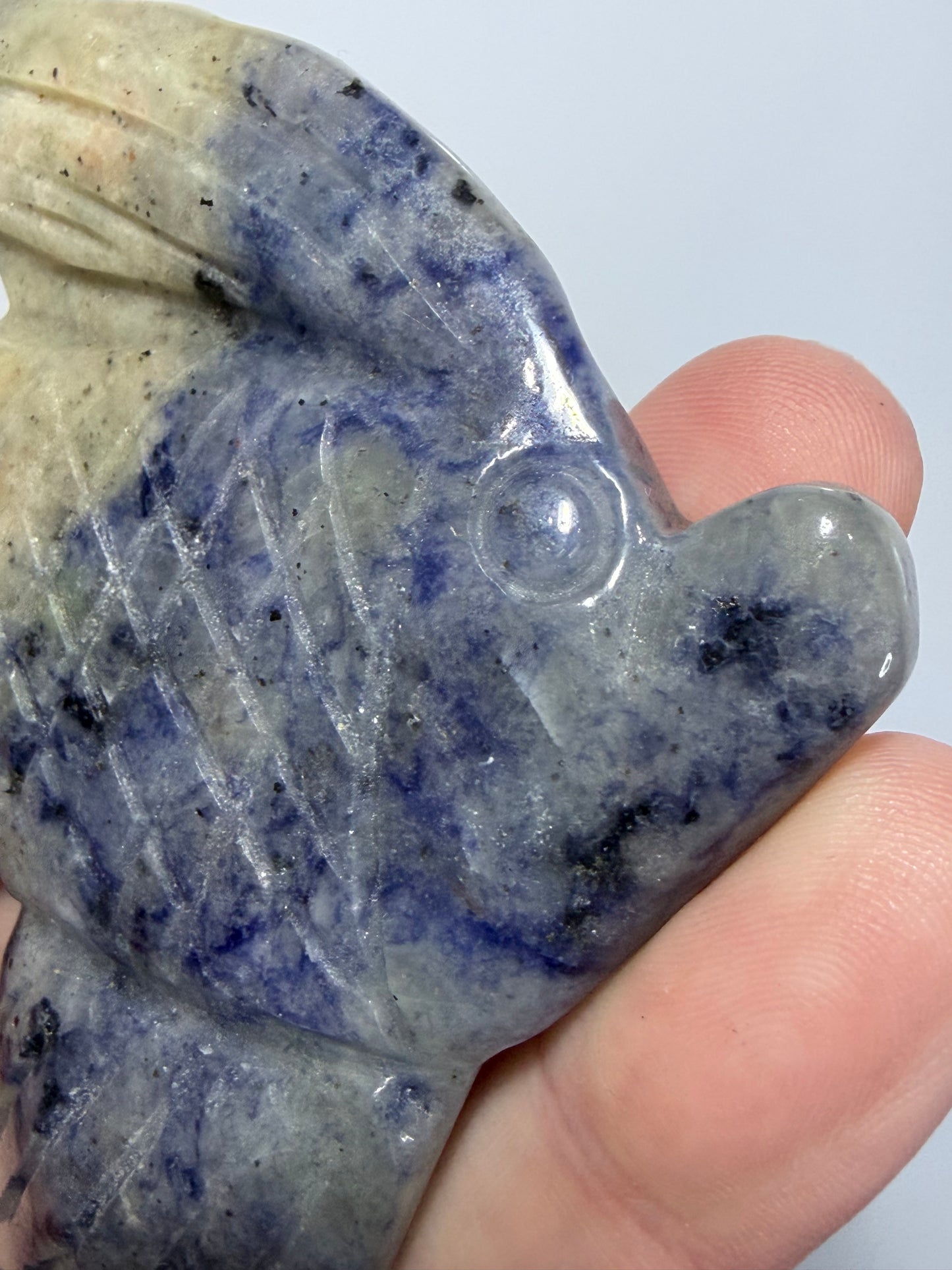 Sodalite Fish Carving with Display Stand | 70g | 9 x 6.5cm