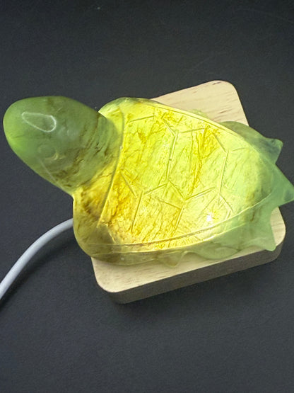 Extra Special Fluorite Turtle with Dendritic Inclusions