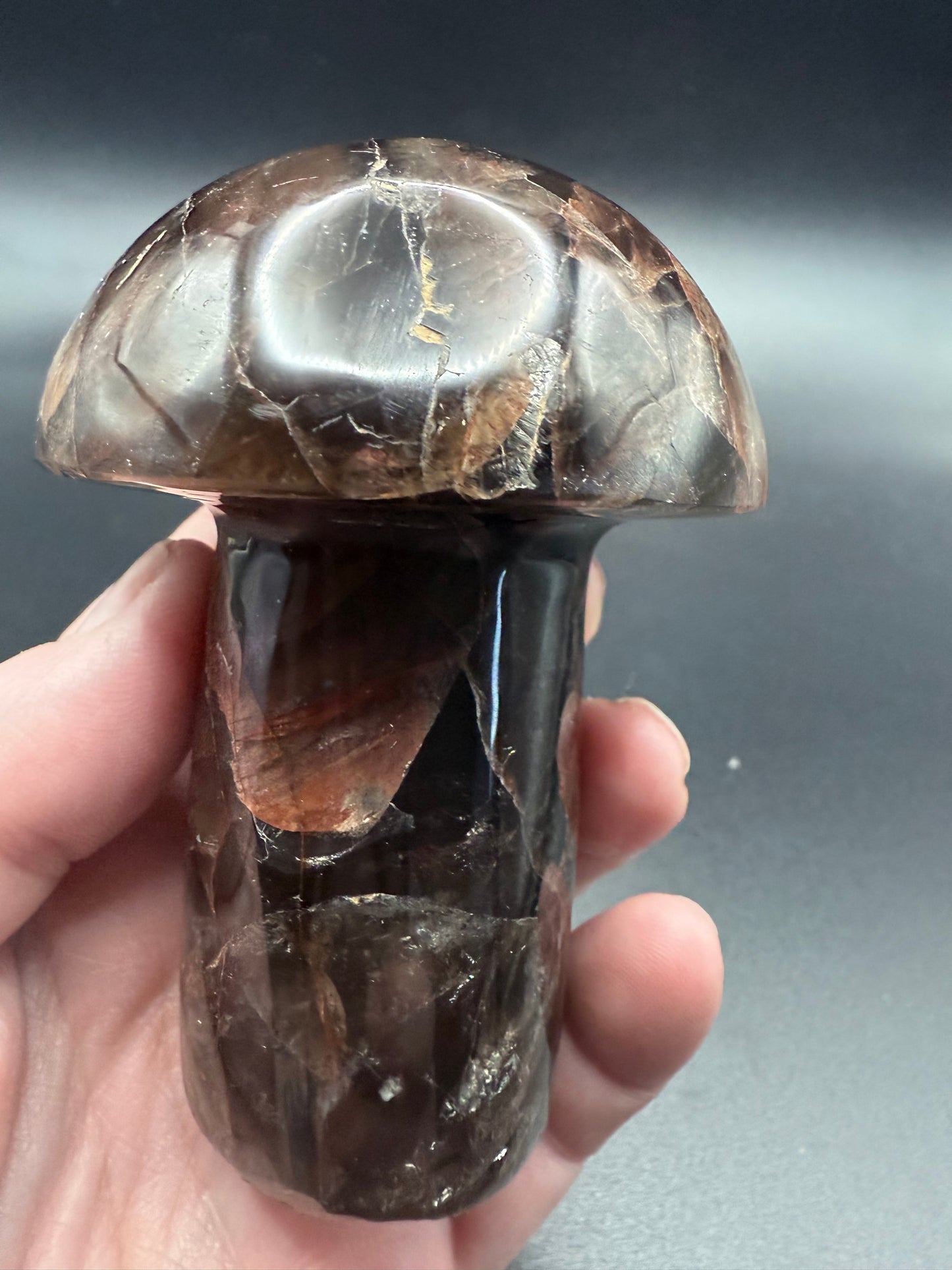Red Fire Quartz in Smoky Quartz Mushroom