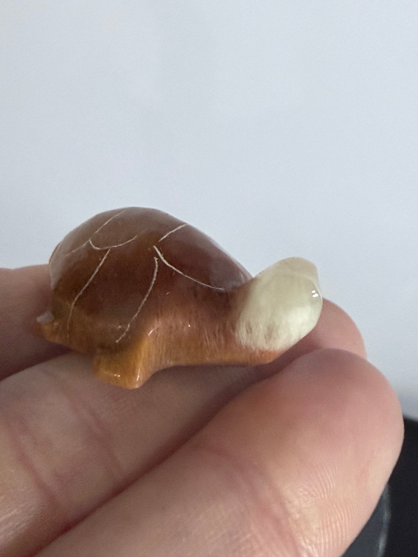 Brown Banded Calcite Turtle Family Carving – Set of 6