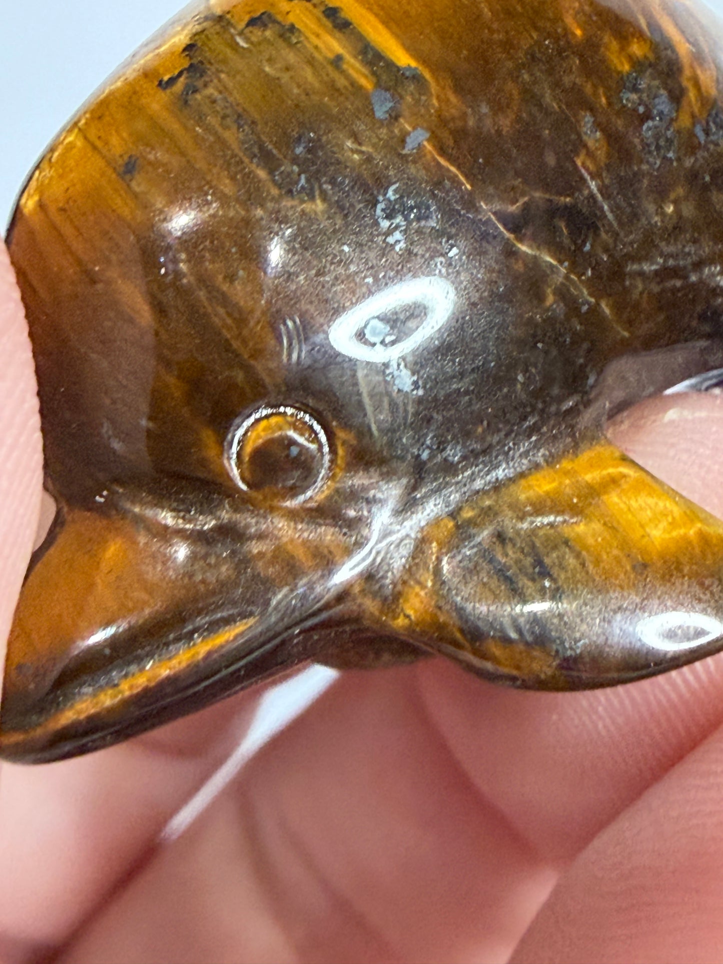 Tiger’s Eye Dolphin Carving