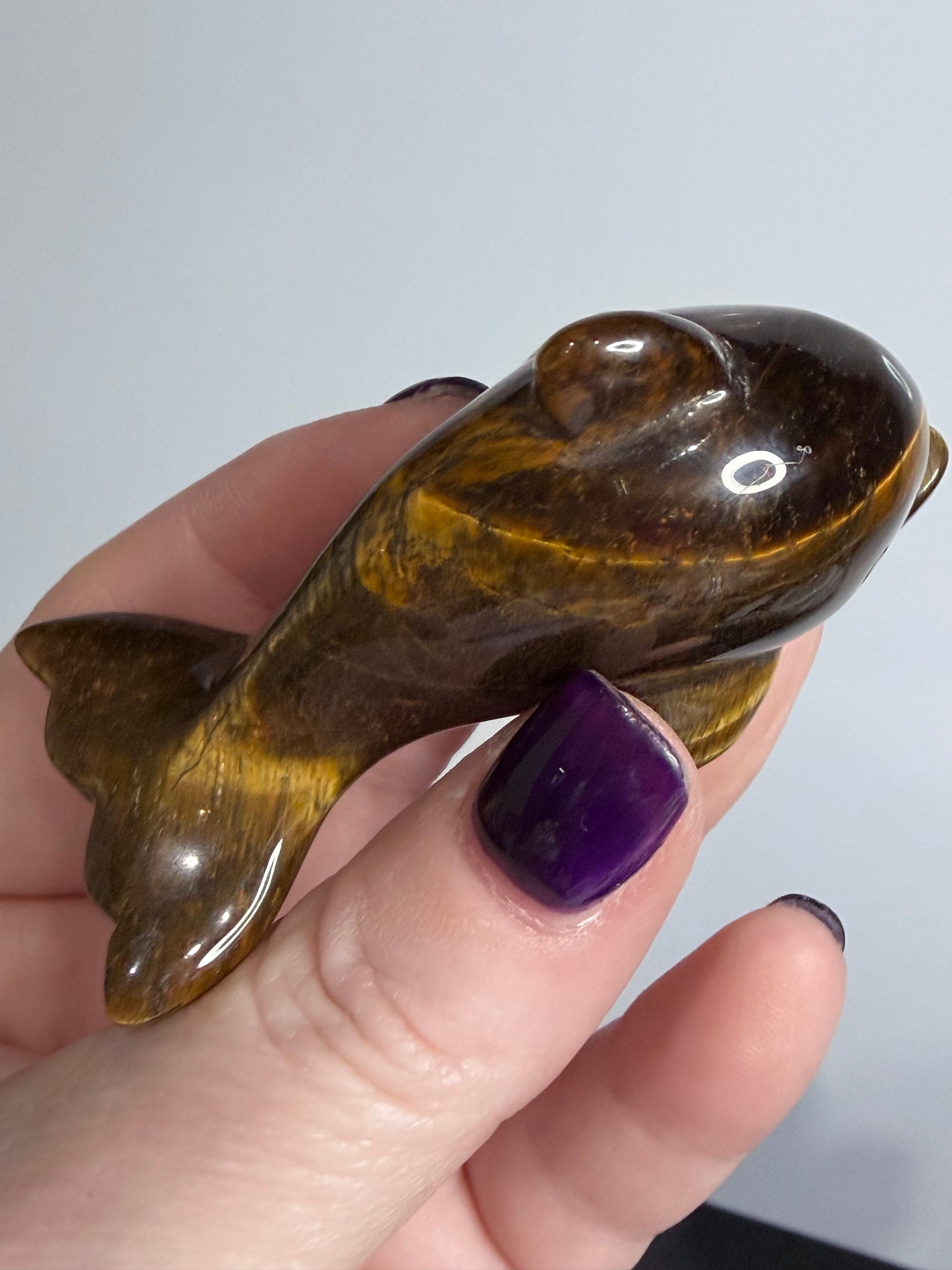 Tiger’s Eye Dolphin Carving