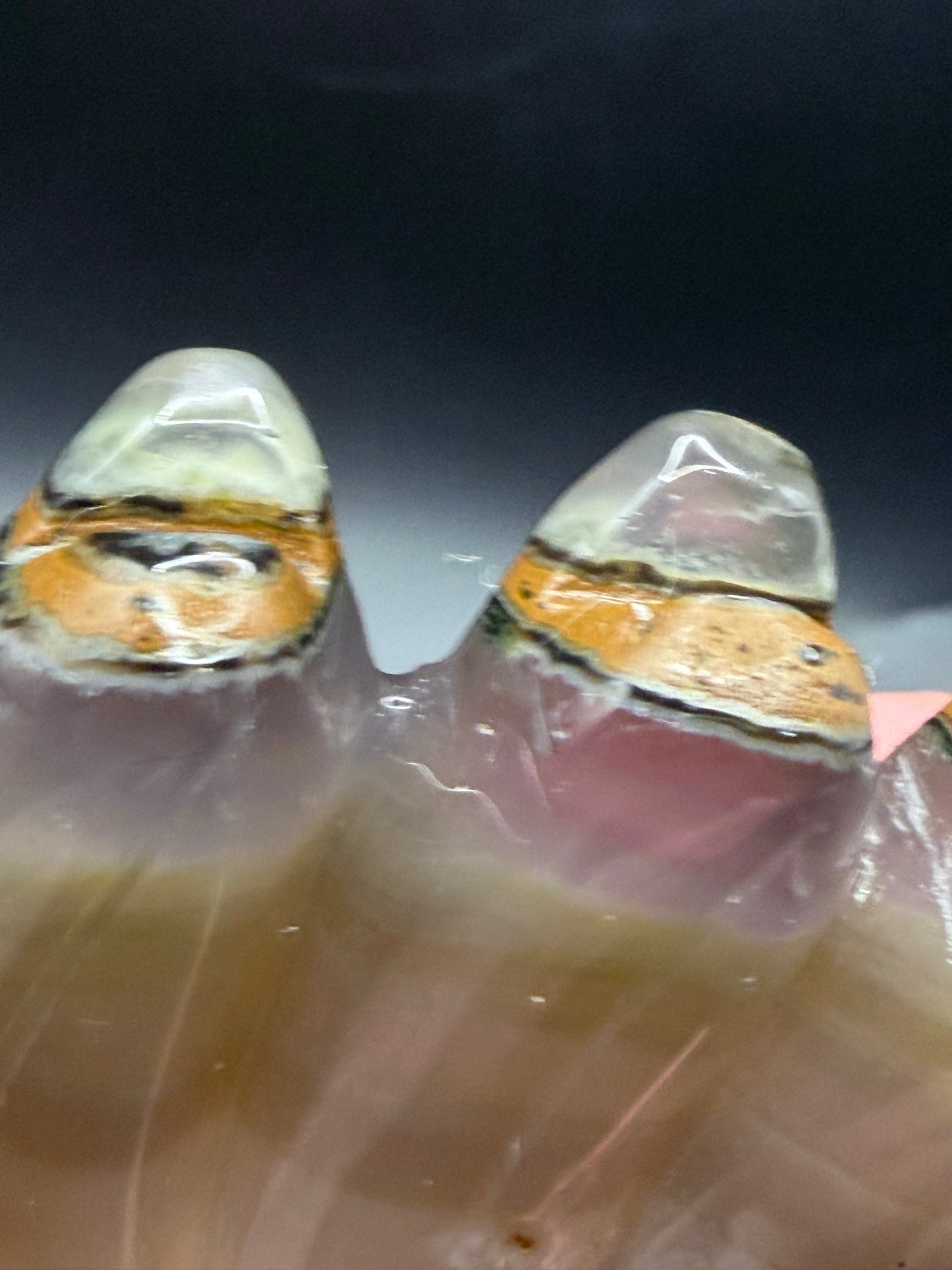 Nine-Tailed Fox Druzy Agate Carving