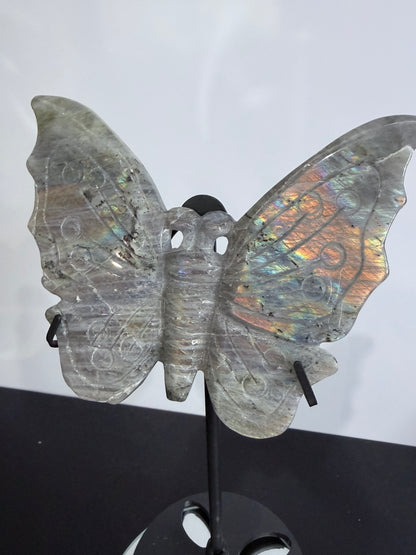 Labradorite Butterfly Crystal Display on Stand – 18 cm