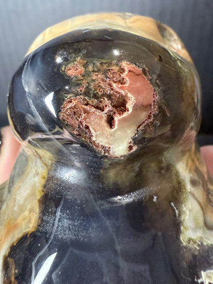 Volcano Agate T-Rex Dino | 365g | 8.5 × 6cm | Druzy Nose