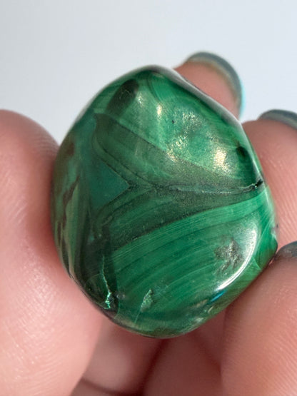 Malachite Polished Tumble – Natural Banded & Orbicular D -