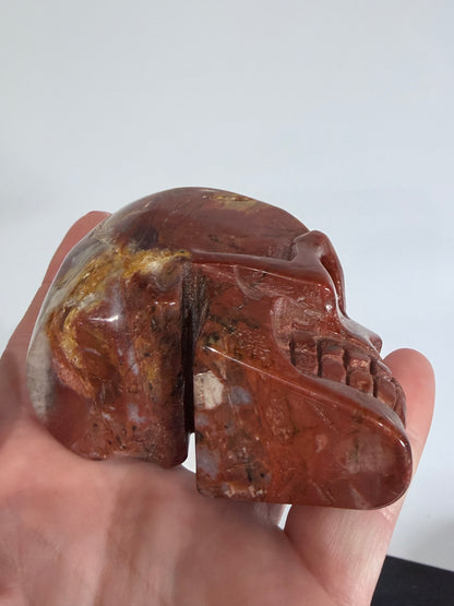Petrified Wood Skull Crystal Carving – 364g (7 × 8 cm) A