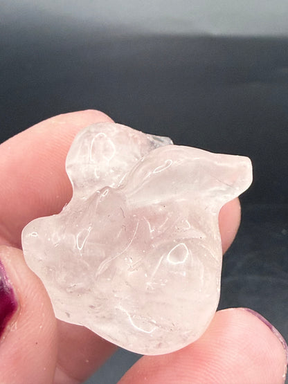 Angel Kittens – Love, Comfort & Heavenly Protection