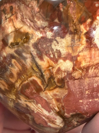 Petrified Wood Heart 🤎 A