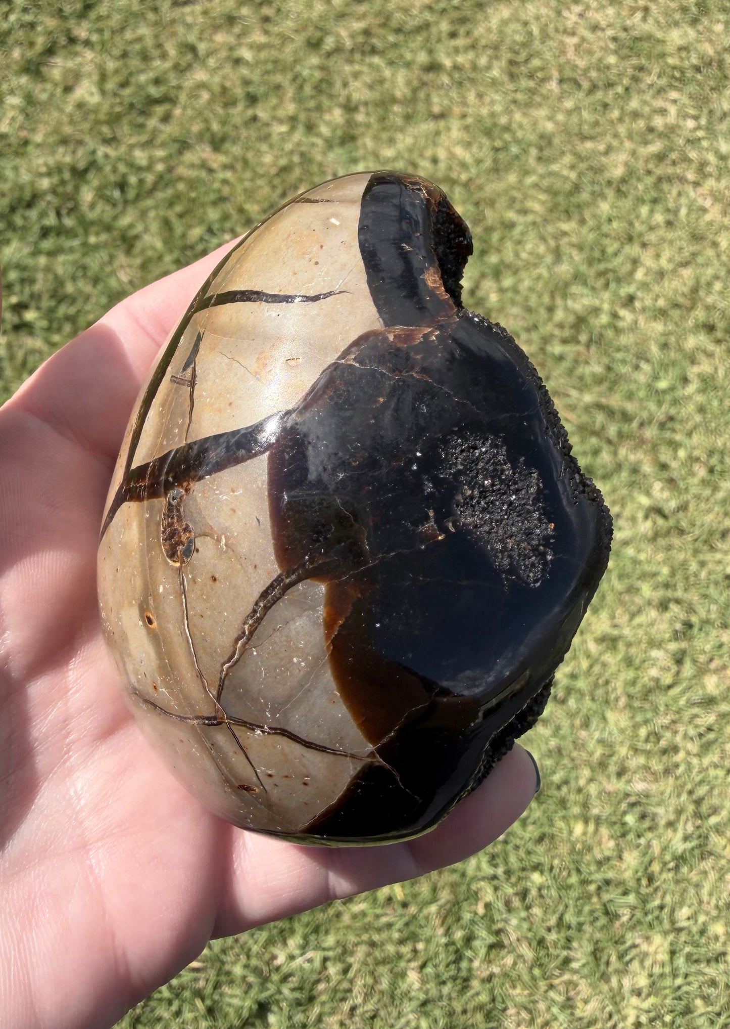 Septarian Druzy Egg — 500 g (9.1 × 5.7 cm) Dragon Stone