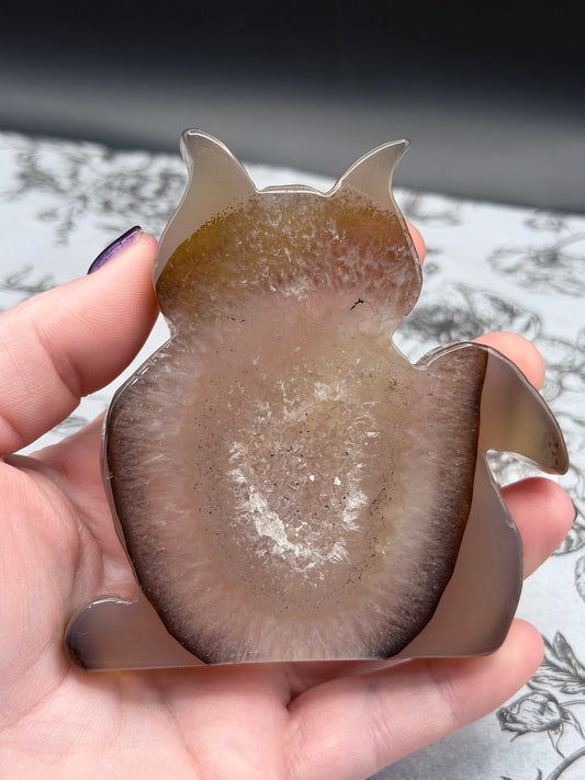 Druzy Agate Cat Geode — 160g | 9.4 x 8.1cm