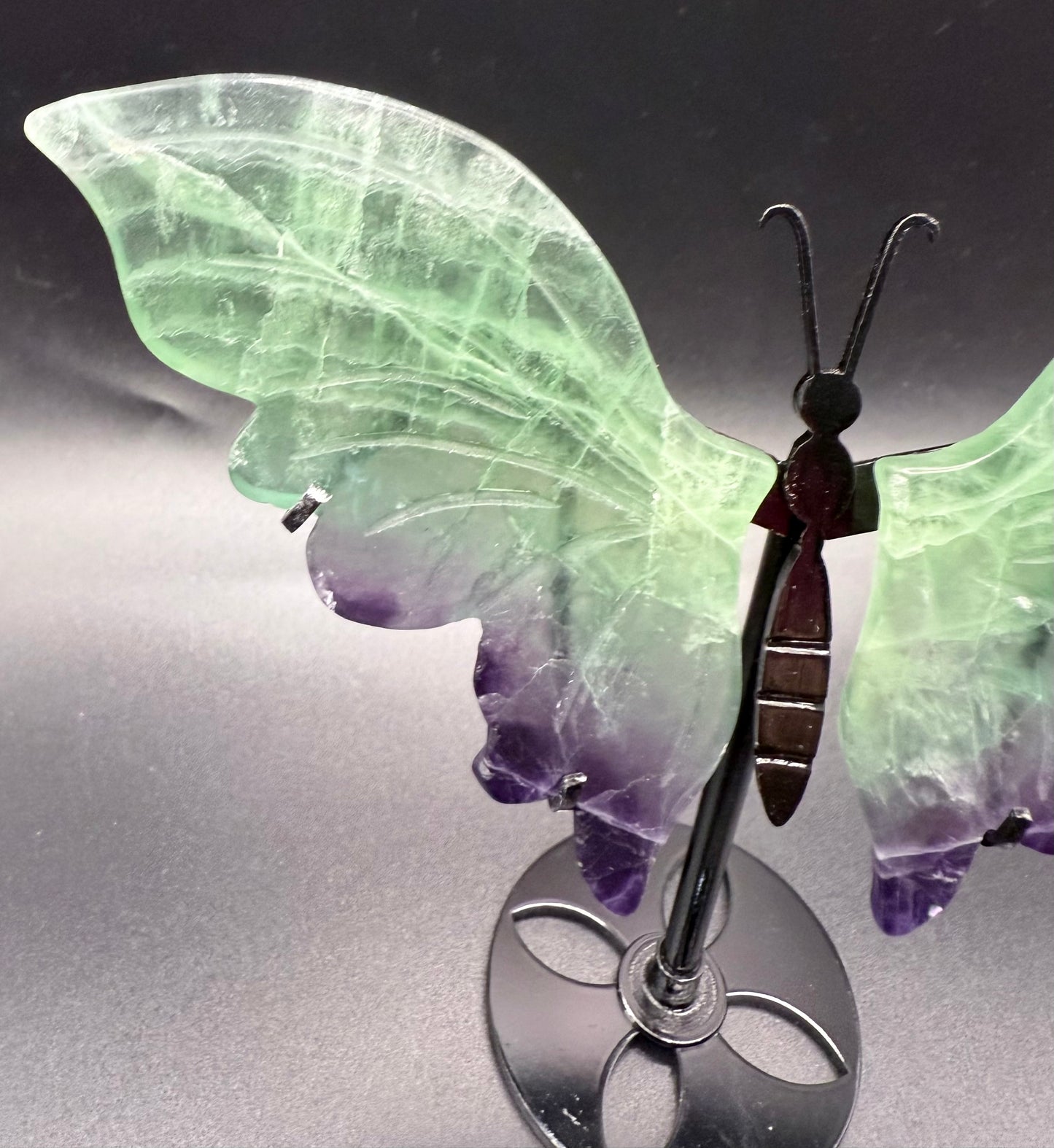 Rainbow Fluorite Butterfly with Stand