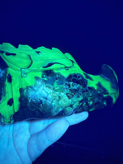 Volcano Agate Dragon Head | UV Reactive | 580g | 12.2 × 8cm