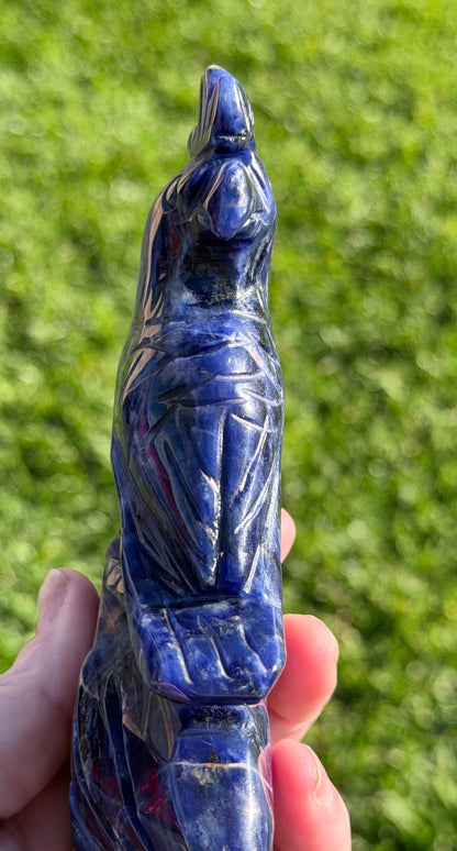 Sodalite Parrot Carving – 400g
