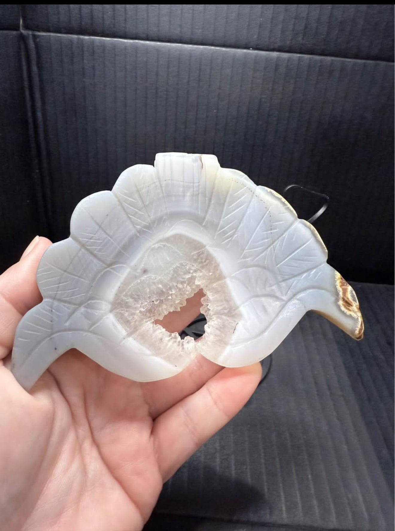 Druzy Agate Bird Wings On stand