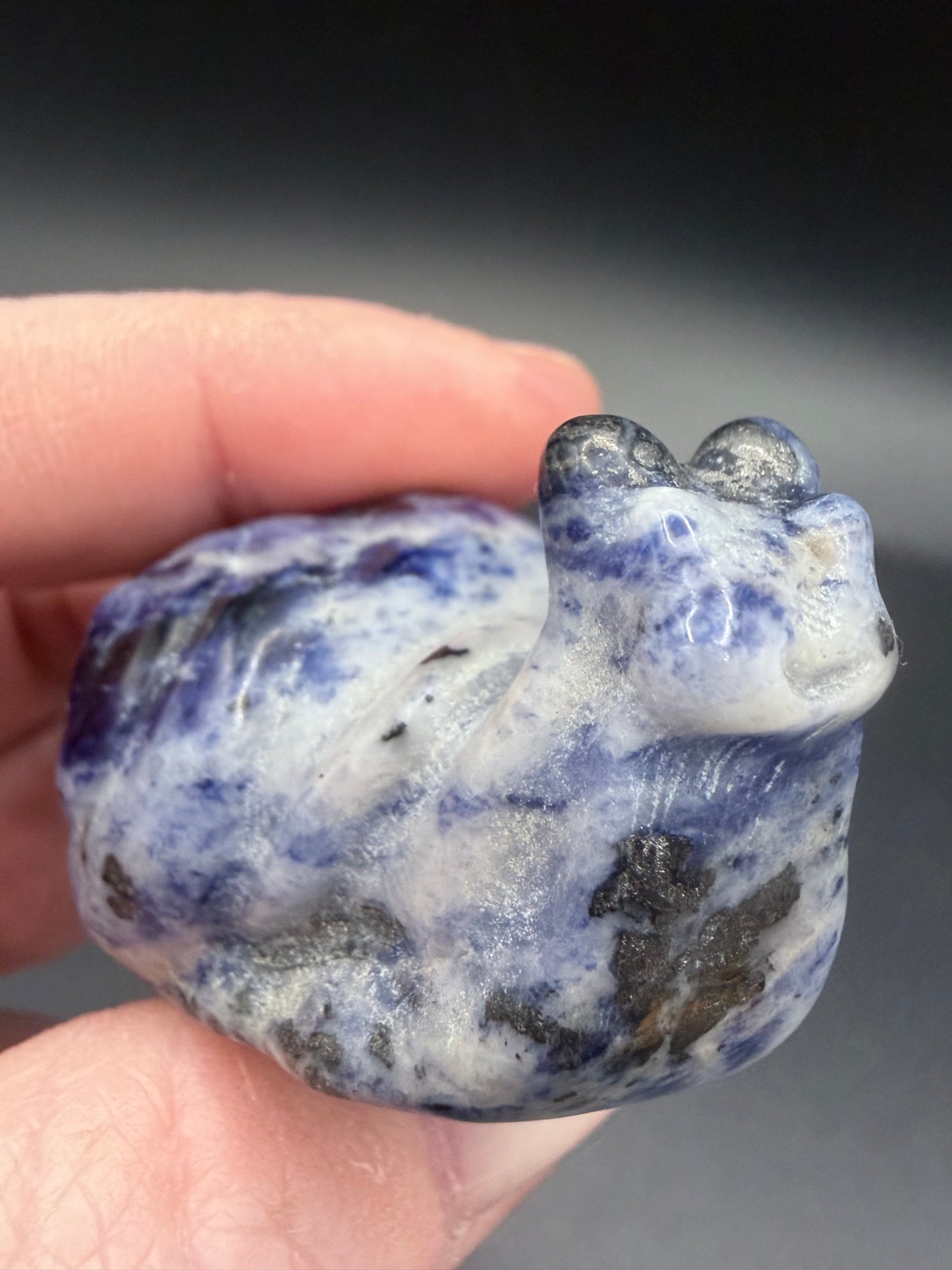 Sodalite Snail Carving – 5cm