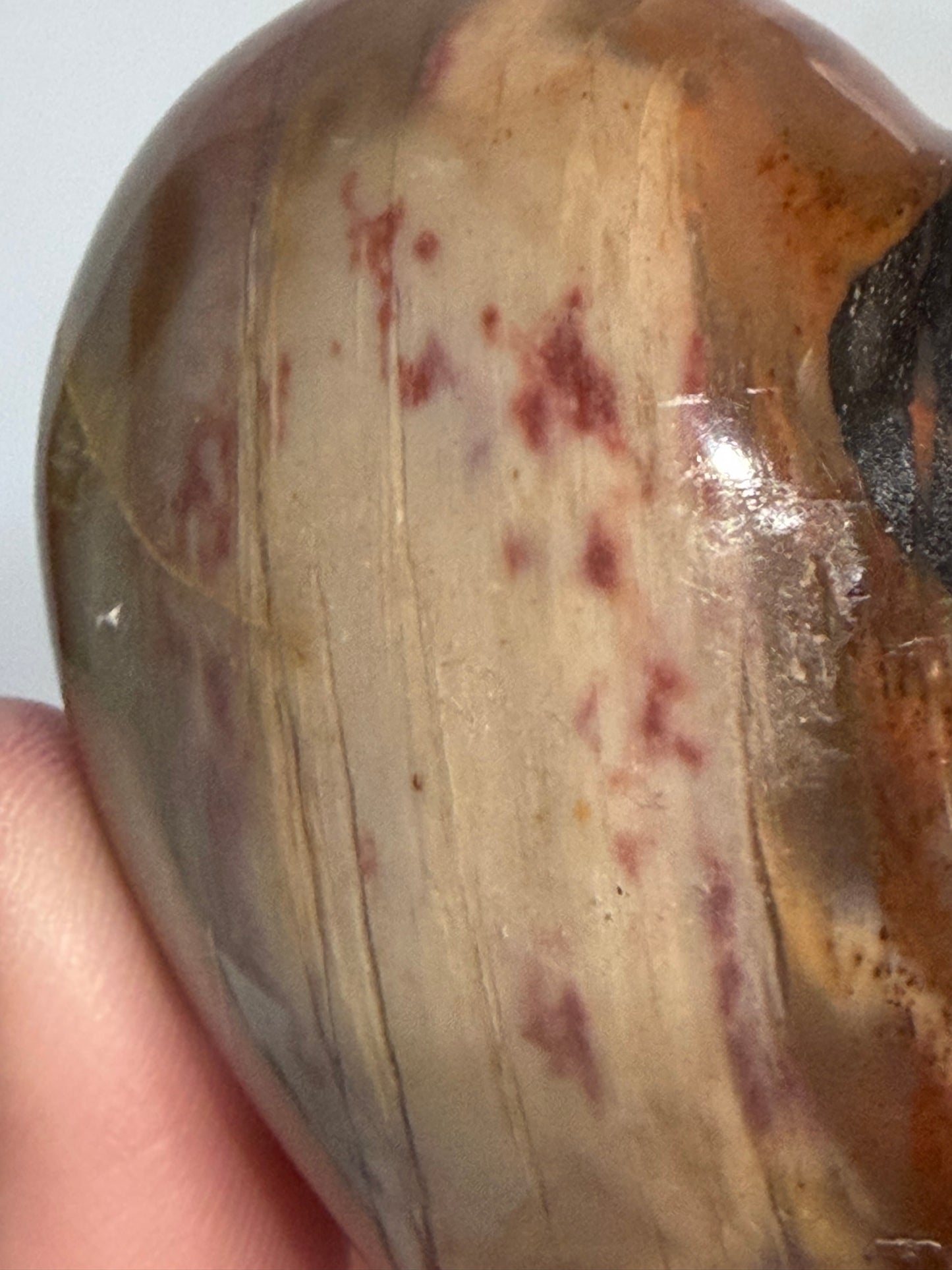 Petrified Wood Heart 🤎 B