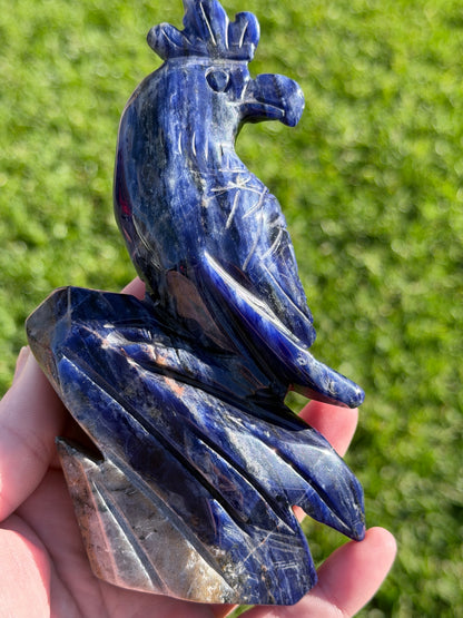 Sodalite Parrot Carving – 400g
