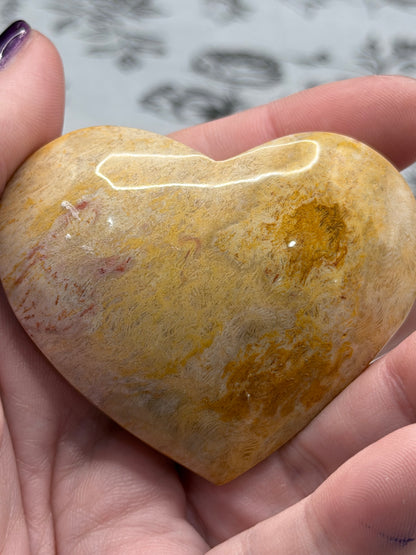 Fossil Coral Heart (85g) – Cream & Honey