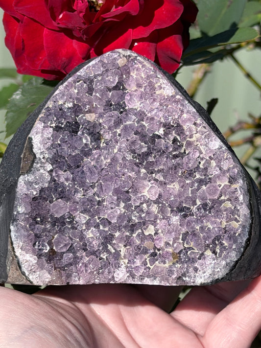 Brazilian Amethyst Druzy Geode Half – 914g C

Calm Energy • Protection • Spiritual Clarity