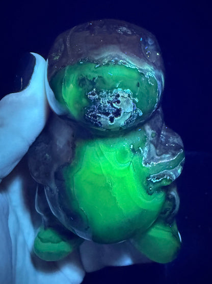 Volcano Agate T-Rex Dino | 365g | 8.5 × 6cm | Druzy Nose