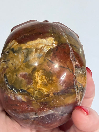 Petrified Wood Crystal Skull – 357g | 7 × 8 cm B